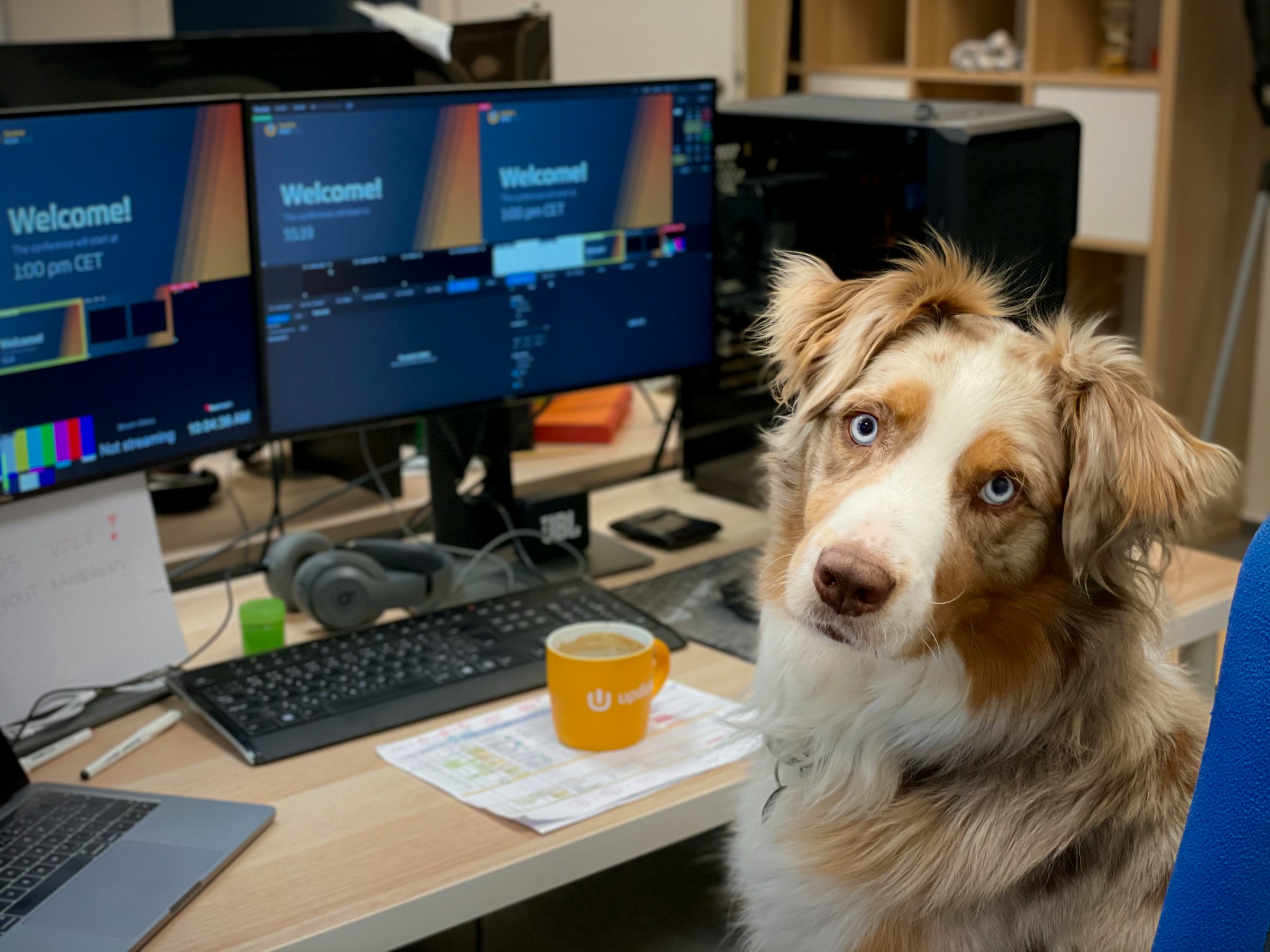 dogcomputer